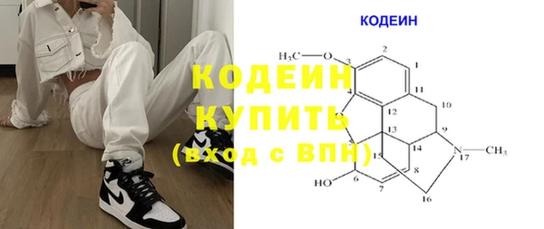 мет Няндома