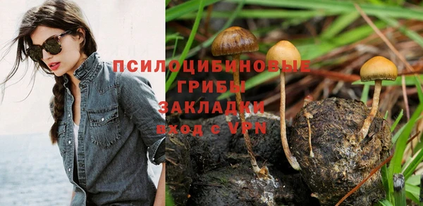 первитин Арсеньев