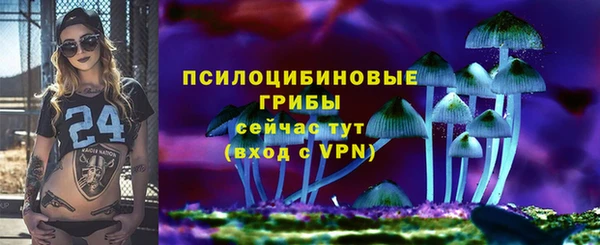круглые Аркадак