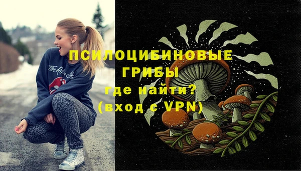 круглые Аркадак