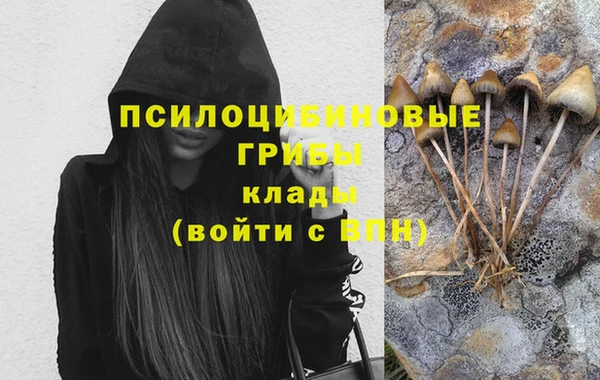 первитин Арсеньев