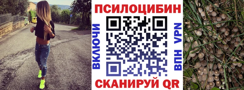 Галлюциногенные грибы MAGIC MUSHROOMS  KRAKEN   Мглин 